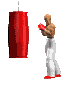 sacco boxe.gif